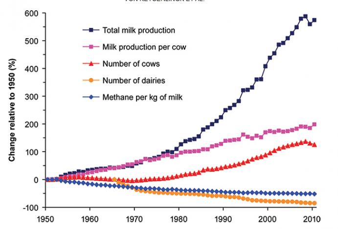 Changes (relative to 1950) in total milk produced, milk production per cow, total number of cows and dairies and methane produced per kilogram of milk in the California dairy industry. Graphic: Ermias Kebreab 