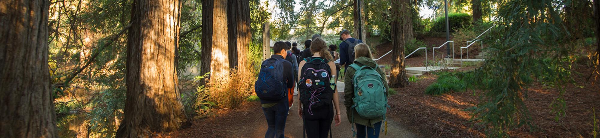 Students walking in the arboretum.