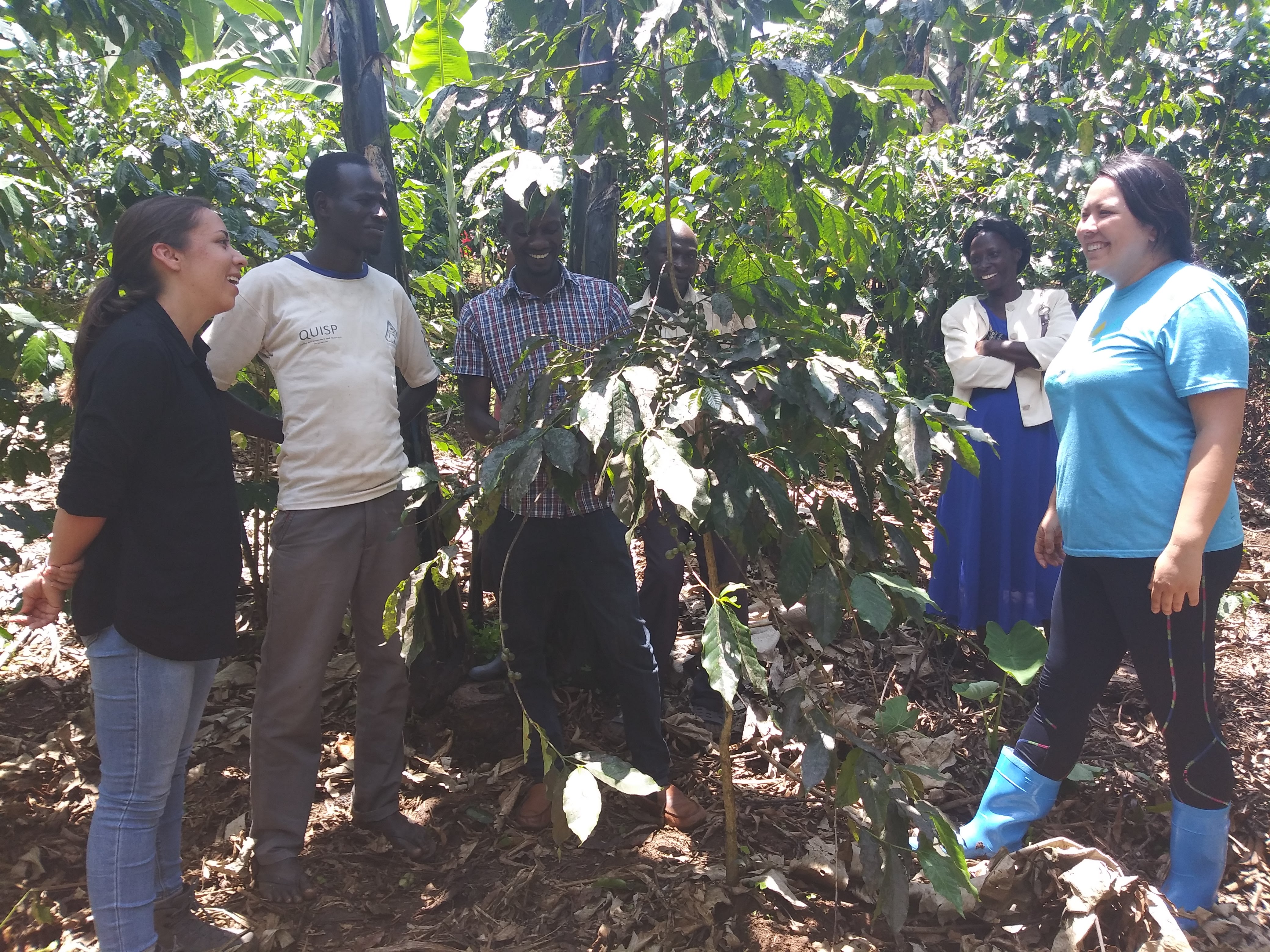 group of people in coffee field