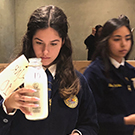 "FFA student judging milk"