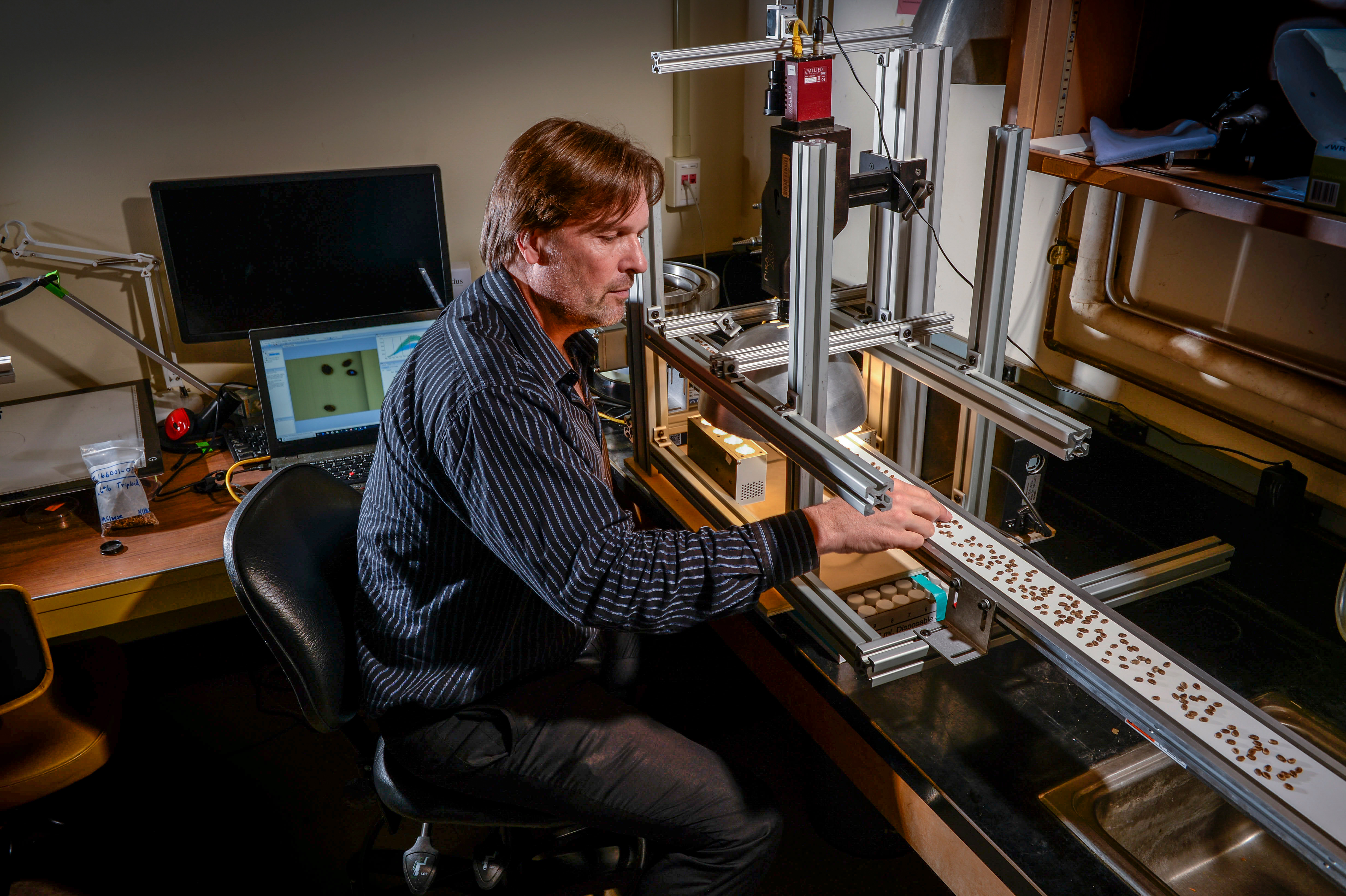 Christian Nansen, an associate professor in the UC Davis Department of Entomology and Nematology, has launched a startup, Spectral Analytix, that utilizes machine vision, robotics and machine learning to sort or classify seeds. (Hector Amezcua/UC Davis)