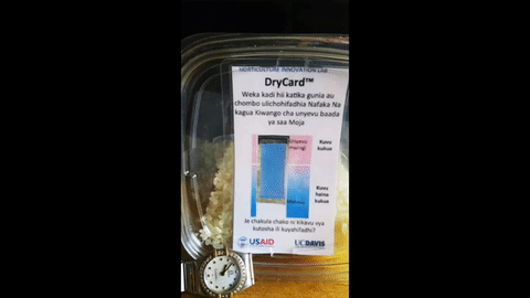 This 8-second gif shows a timelapse of a DryCard changing color with insufficiently dry rice. This clip is taken from a 5-minute video made by Michael Reid.