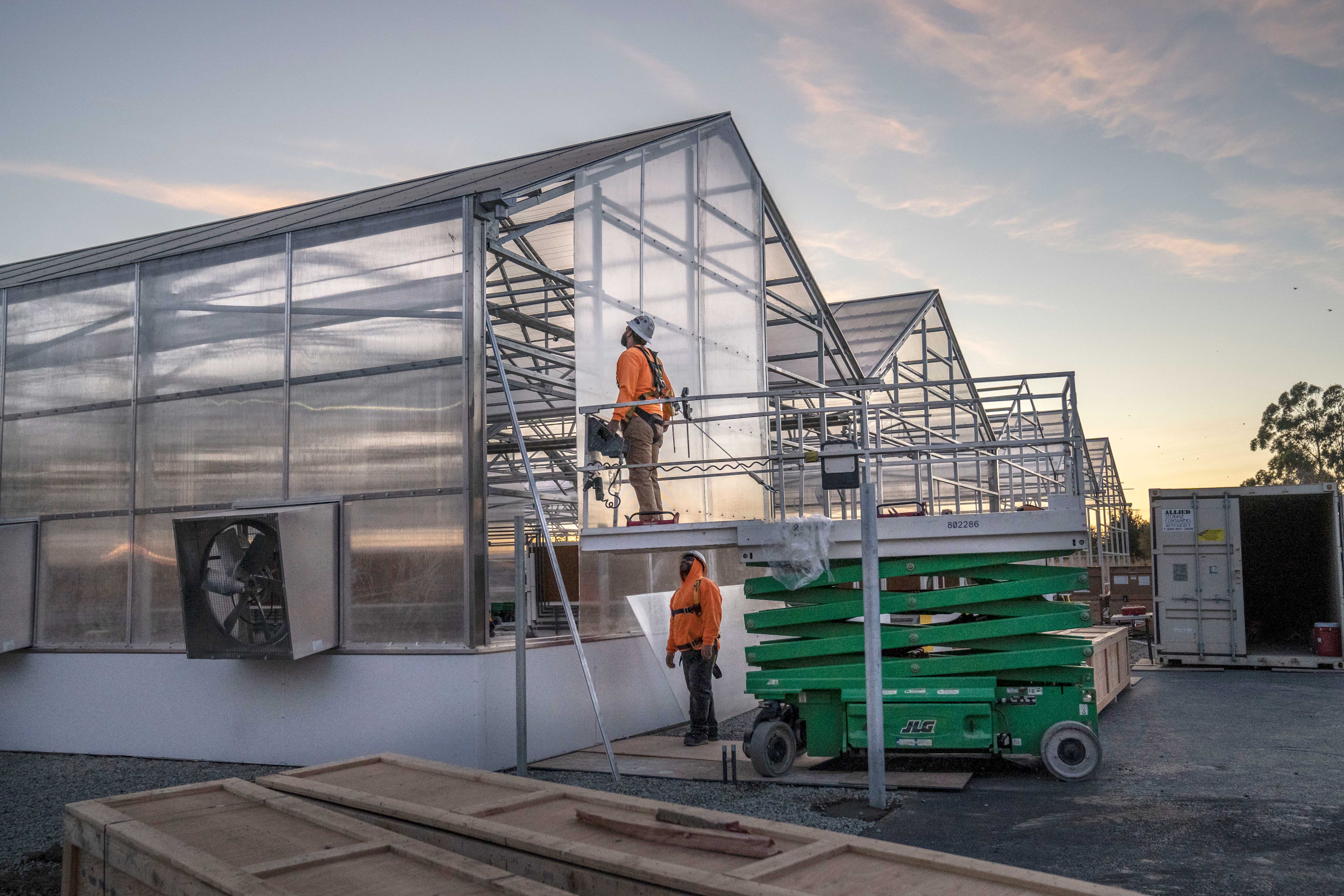 Construction is nearing completion on eight advanced greenhouses that will support breeding, teaching and research on an array of species including cacao, which is rarely studied at public institutions.