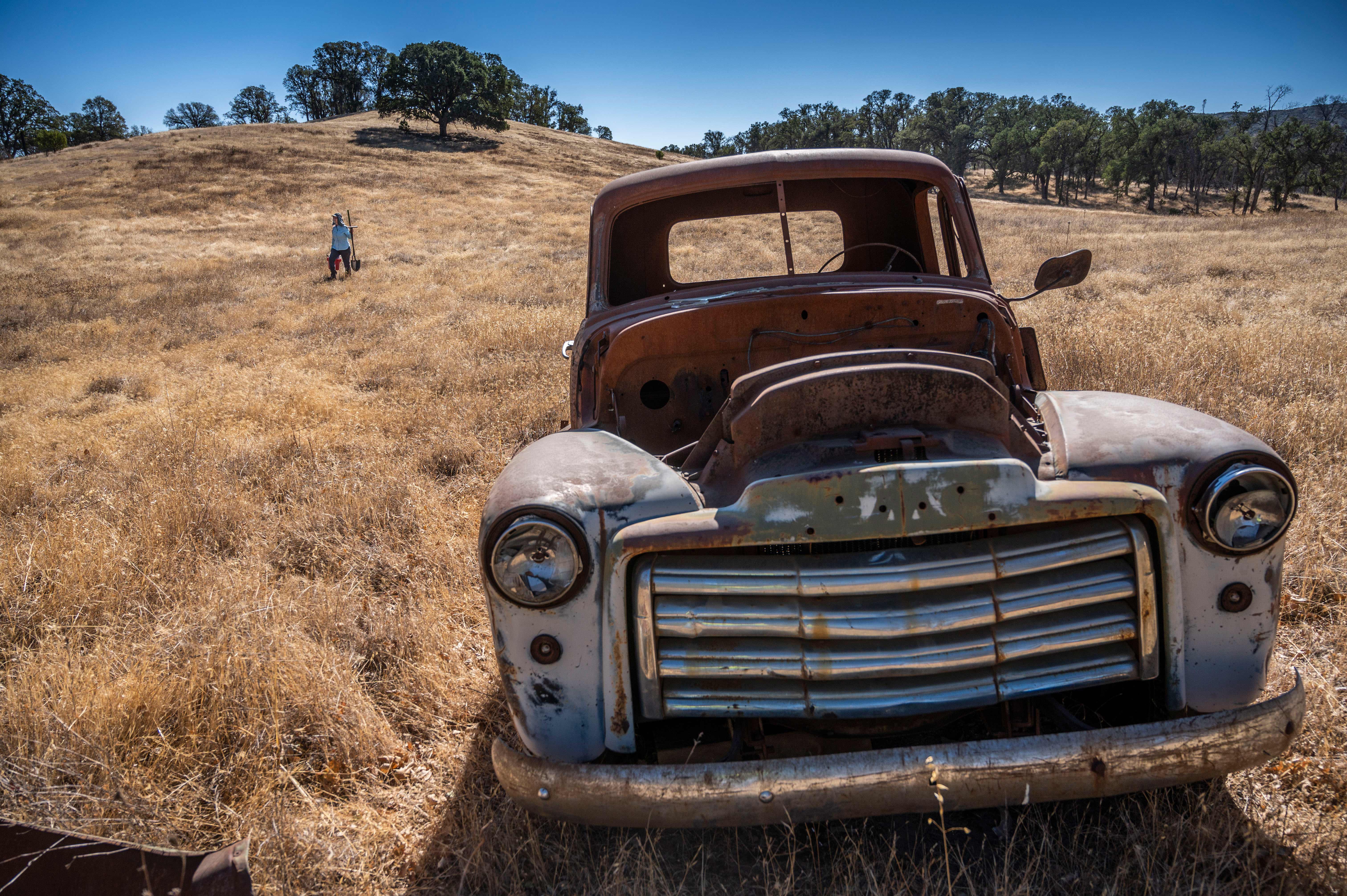 An abandoned truck in the UC Davis’ McLaughlin Nature Preserve in Lake County. Joanne Emerson, UC Davis an assistant professor in the Department of Plant Pathology, walks in the background.