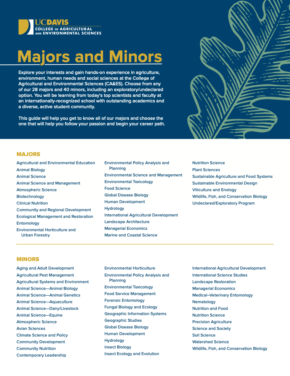 Cover of majors brochure