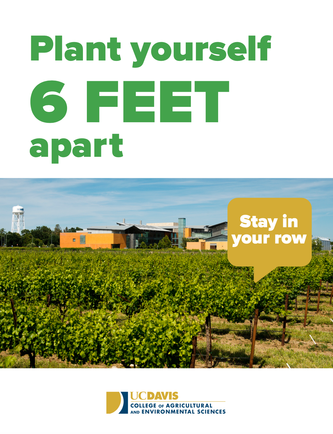 Plant yourself 6 feet apart