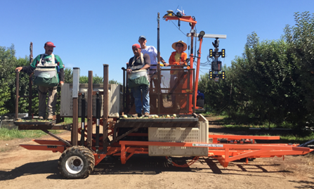 Vougioukas and Fei on the robotic orchard platform with two harvesters.(Stavros Vougioukas/UC Davis)