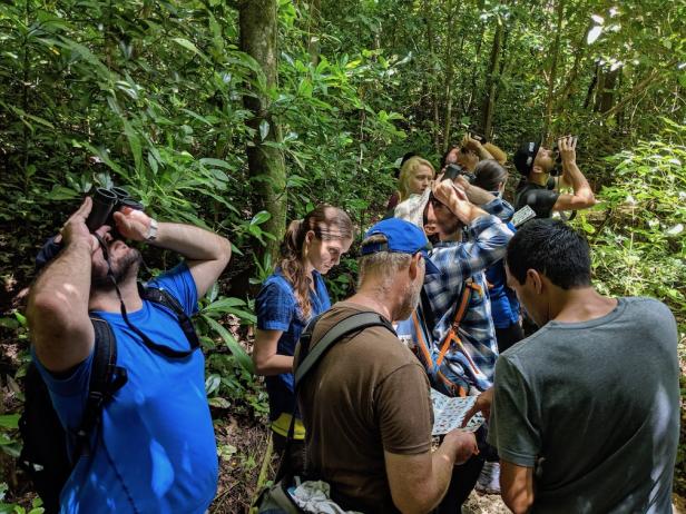 People from all over the world travel to Costa Rica to watch birds. Birds that locals and tourists alike enjoy viewing in the Nicoya Peninsula include the yellow-naped Amazon and the roseate spoonbill. (Daniel Karp/UC Davis)