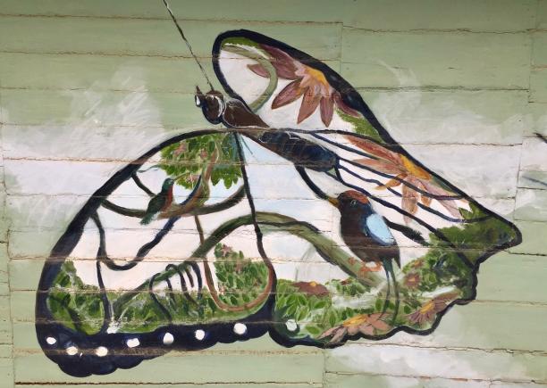 A mural in Hojancha, Costa Rica painted by local community members depicts a hummingbird and the long-tailed manakin -- two birds perceived as iconic, charismatic and culturally important for people in Costa Rica. (Alejandra Echeverri)