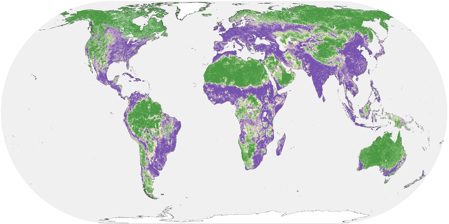 A map of human impact on natural lands, with green areas representing areas of low human impact and purple areas with higher impact. (Riggio et. al/UC Davis)