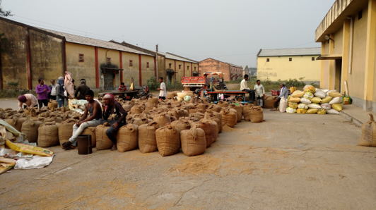 rice market in india