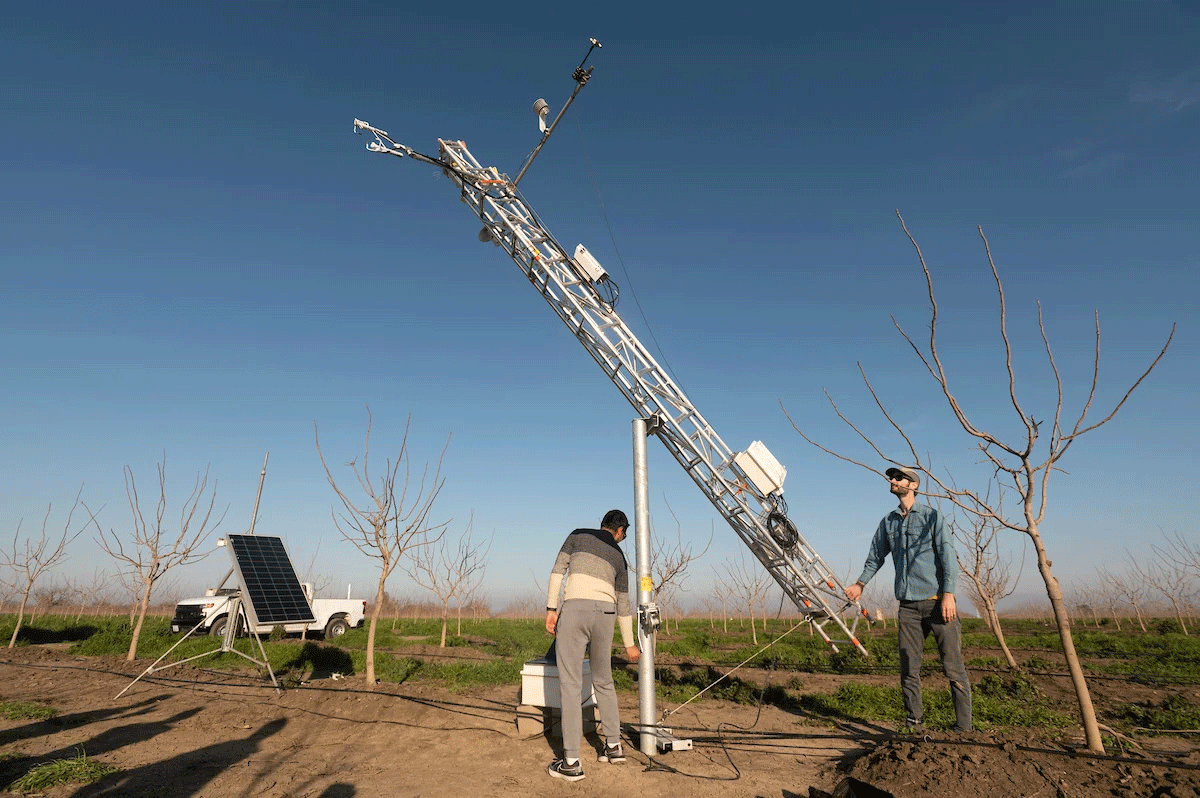 UC Davis postdoctoral student Anish Sopkata, left, and USDA research scientist Matt Roby adjust an eddy covariance flux tower, which measures the exchange of carbon dioxide gases and evapotranspiration in the pistachio orchard. (Gregory Urquiaga/UC Davis)