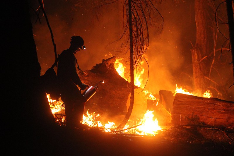 A Lassen Hotshot firefighter pauses during the August Complex Fire, which was ignited by lightning strikes on August 17, 2020. (Mike McMillan, Pacific Southwest Forest Service-USDA, CC by 2.0)