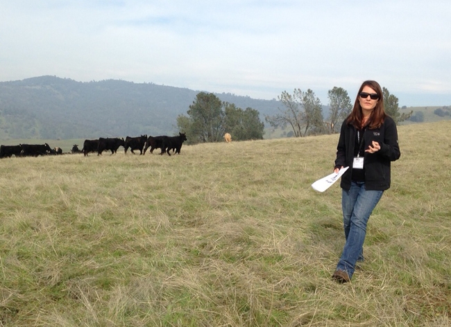 Leslie Roche, UCCE rangeland management specialist at UC Davis, will assist ranchers in adapting to climate change.