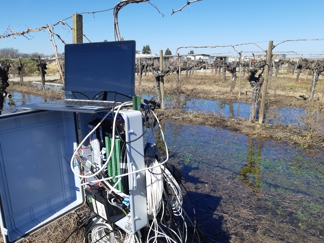 UC researchers analyzed data from this box that logged soil moisture, temperature, oxygen levels and other measurements at various depths in the flooded vineyards. Photo by Elad Levintal
