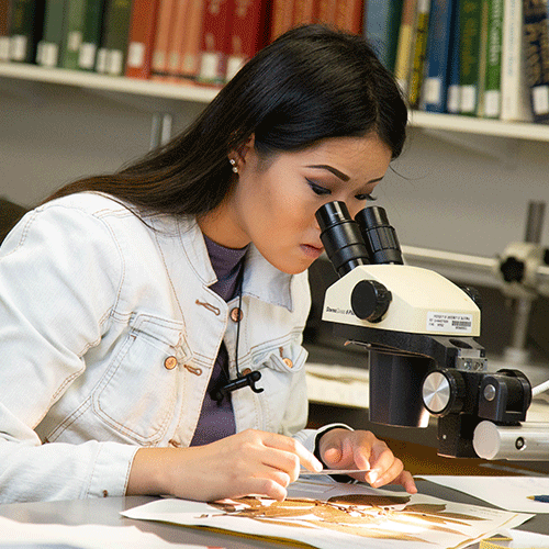 A woman looks through the lens of a microscope.