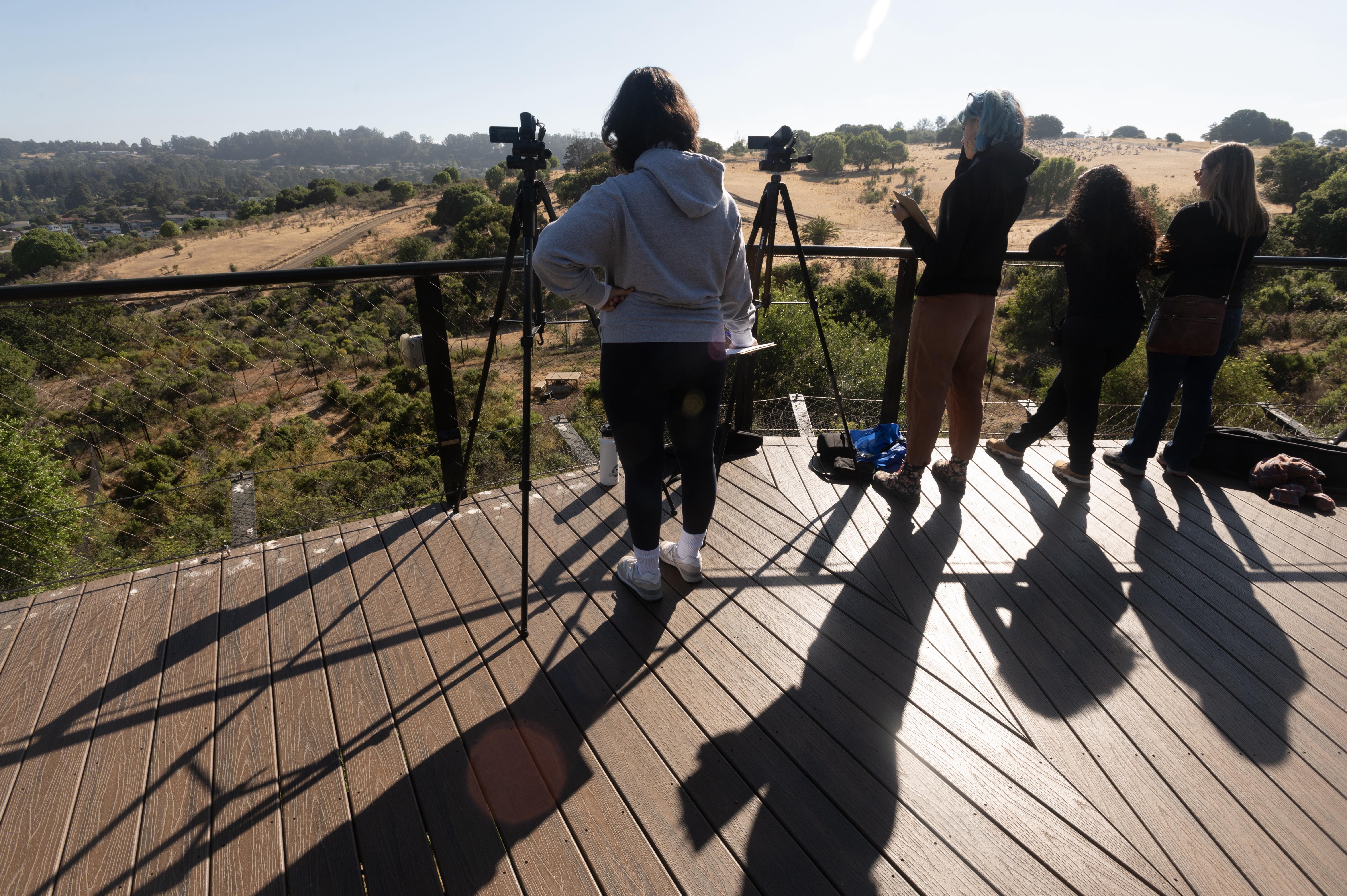 The research team at the Oakland Zoo stationed on the boardwalk overlooking the gray wolf habitat. Photo by Gregory Urquiaga / UC Davis