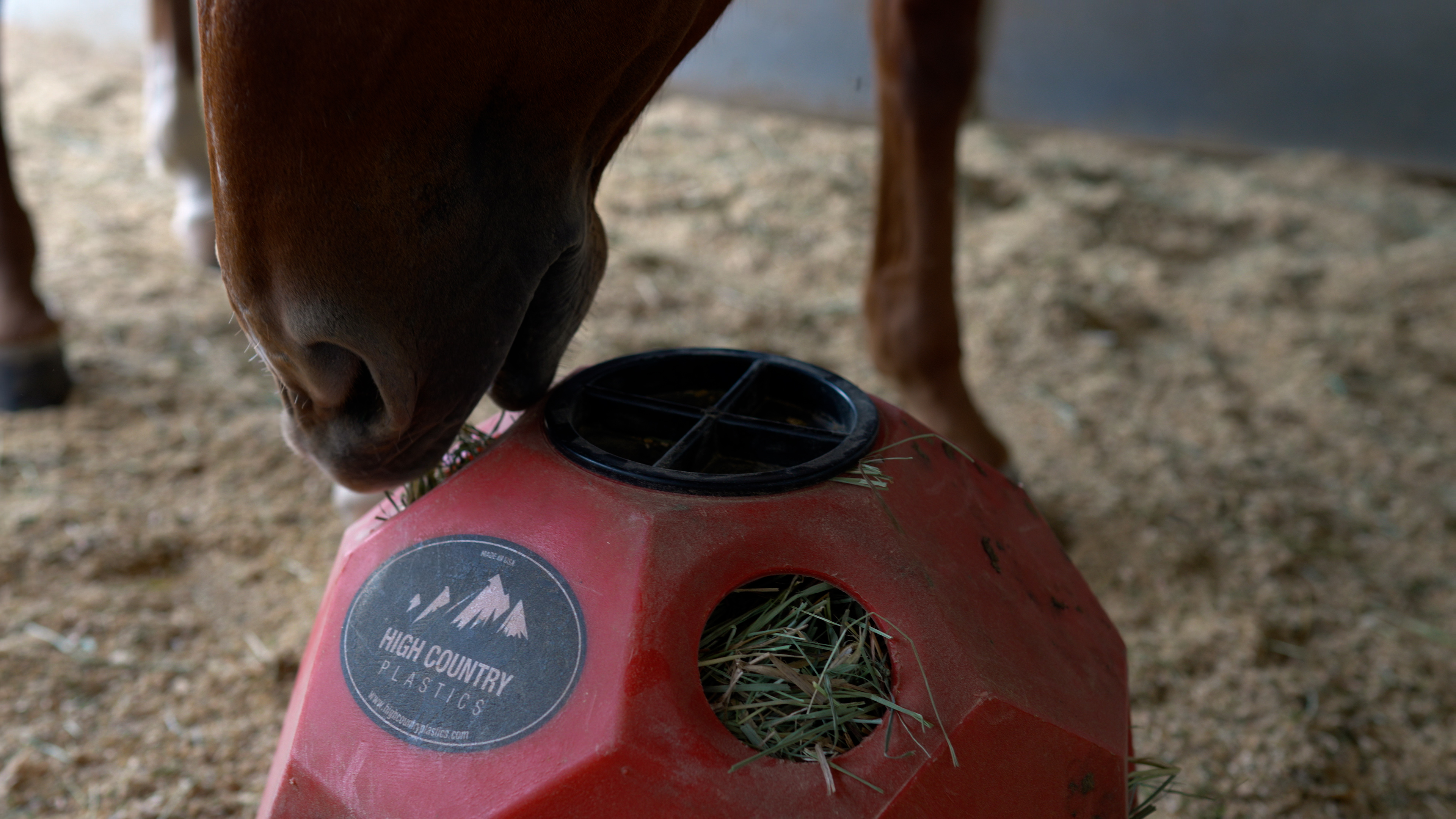 A horse with a hayfeeder ball in a stable 