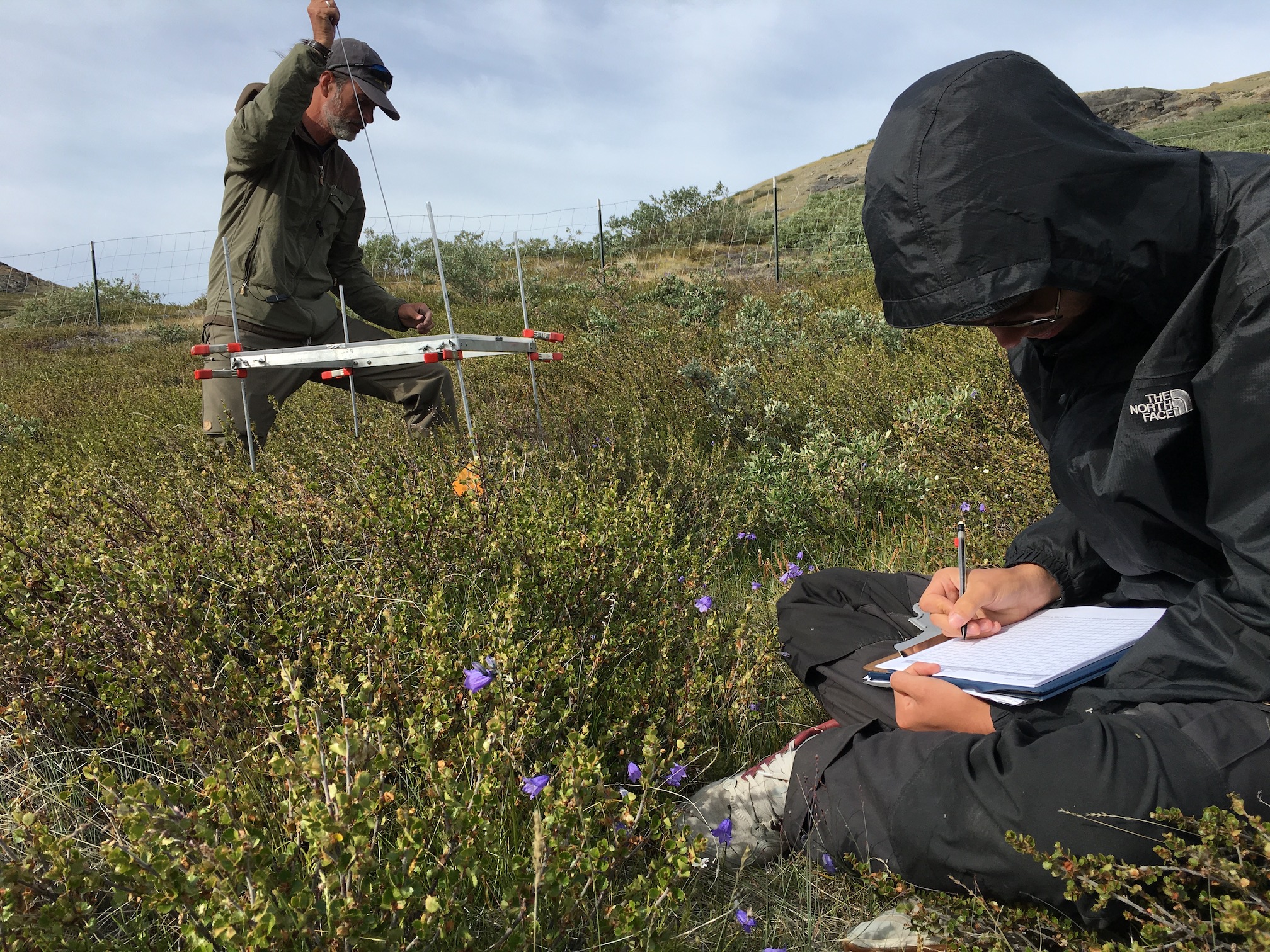Eric Post, left, conducts field work with a colleague in Greenland. His work is helping us better understand how climate change is expected to impact large mammals in the Arctic, like caribou and musk oxen. (Emma Behr)