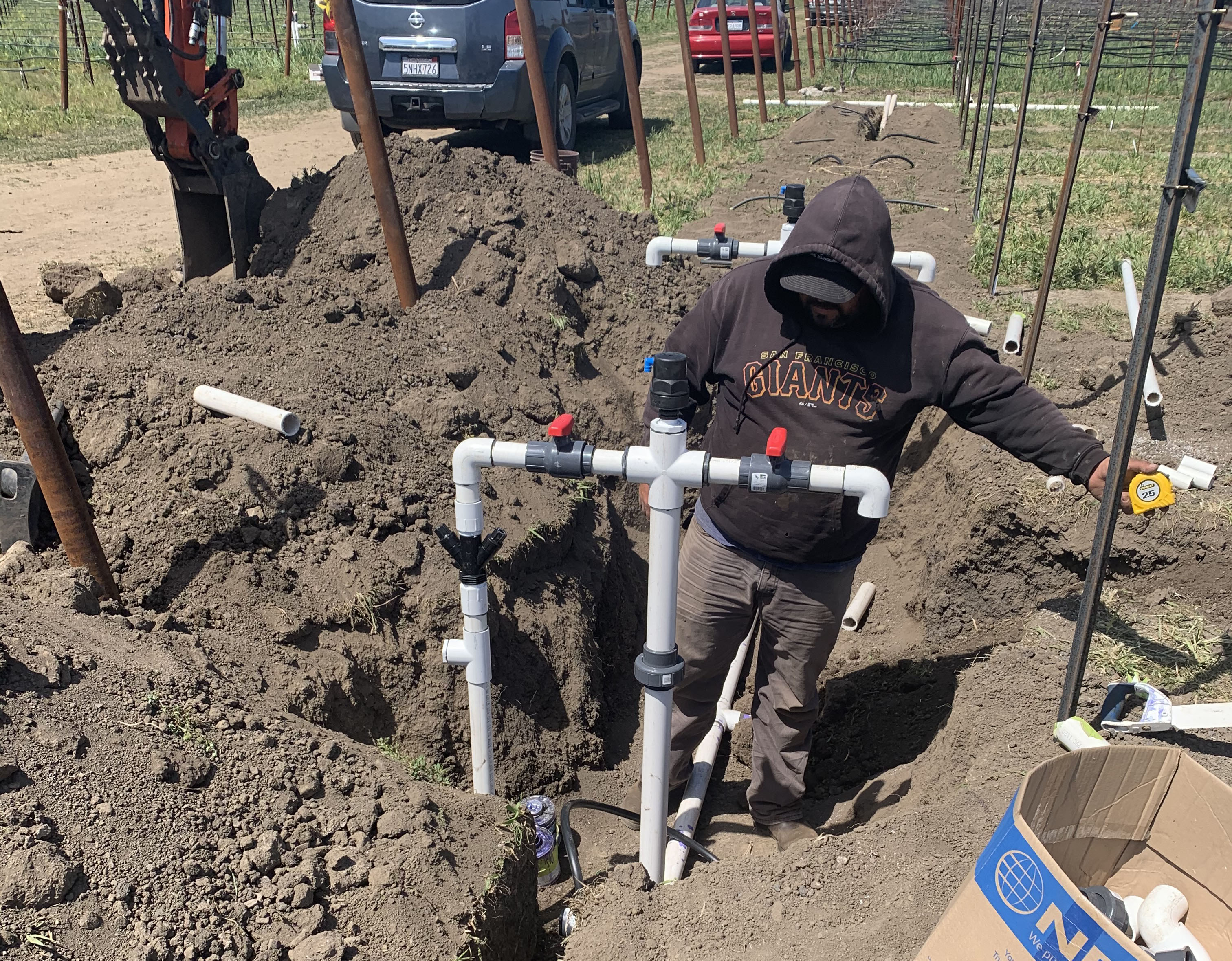 A drip irrigation system is installed at a new vineyard at the UC Davis Oakville Station. (Kaan Kurtural/UC Davis)