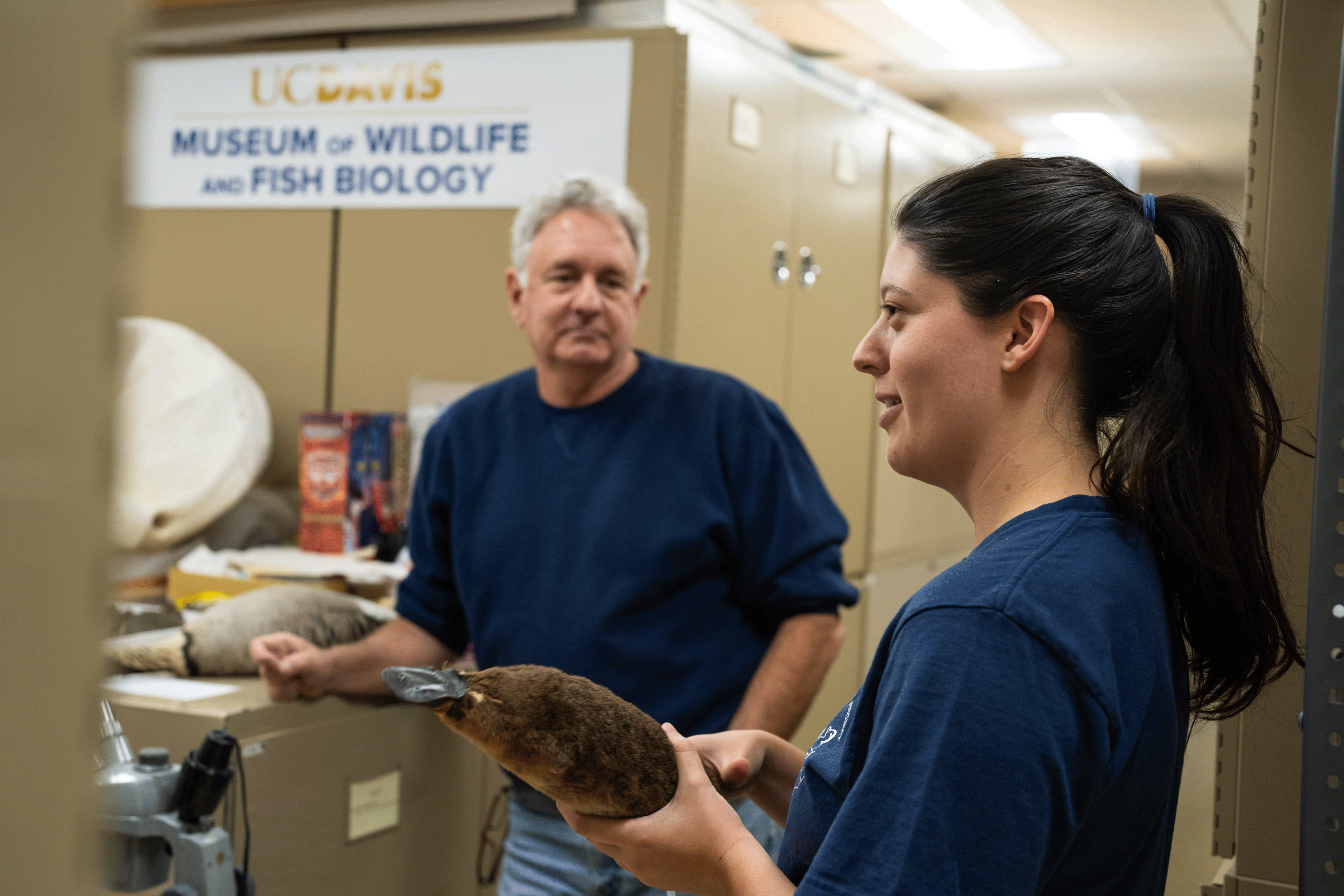 Danielle Fradet, junior specialist for MWFB, with a male platypus specimen.