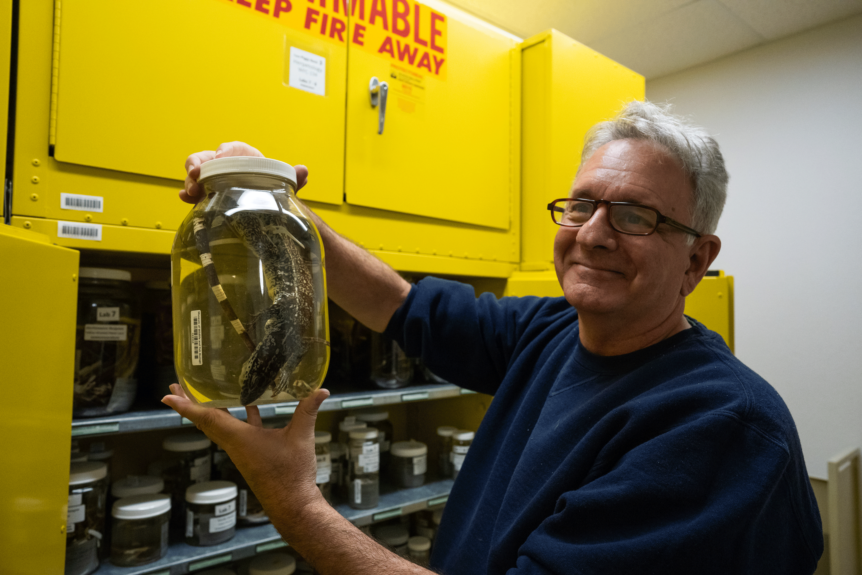 Curator Andy Engilis holding up a lizard specimen.