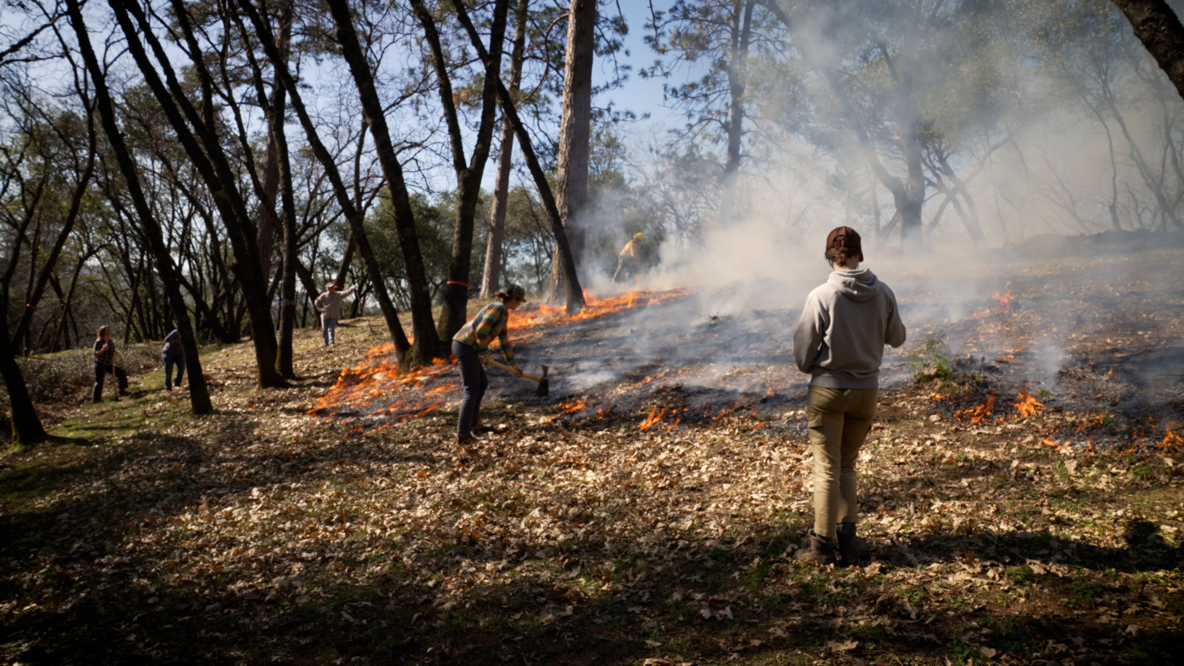 Community members, agency staffers and researchers work together to tend the fire. (Tim McConville/UC Davis)