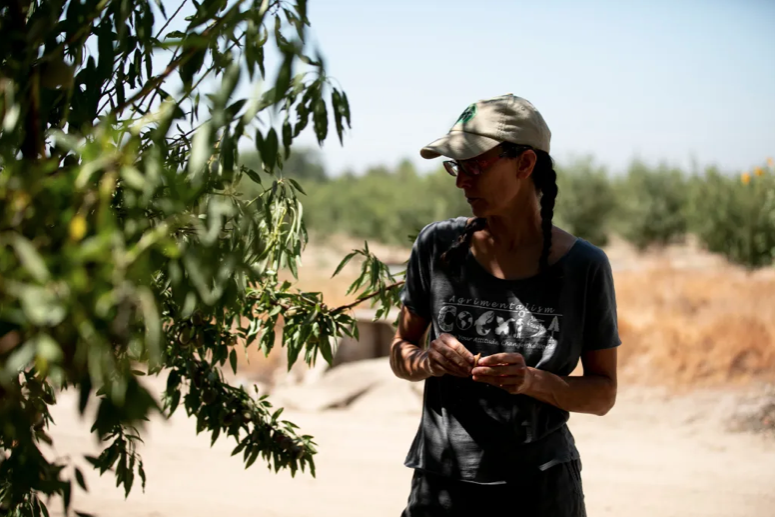 A woman standing near an almond tree.