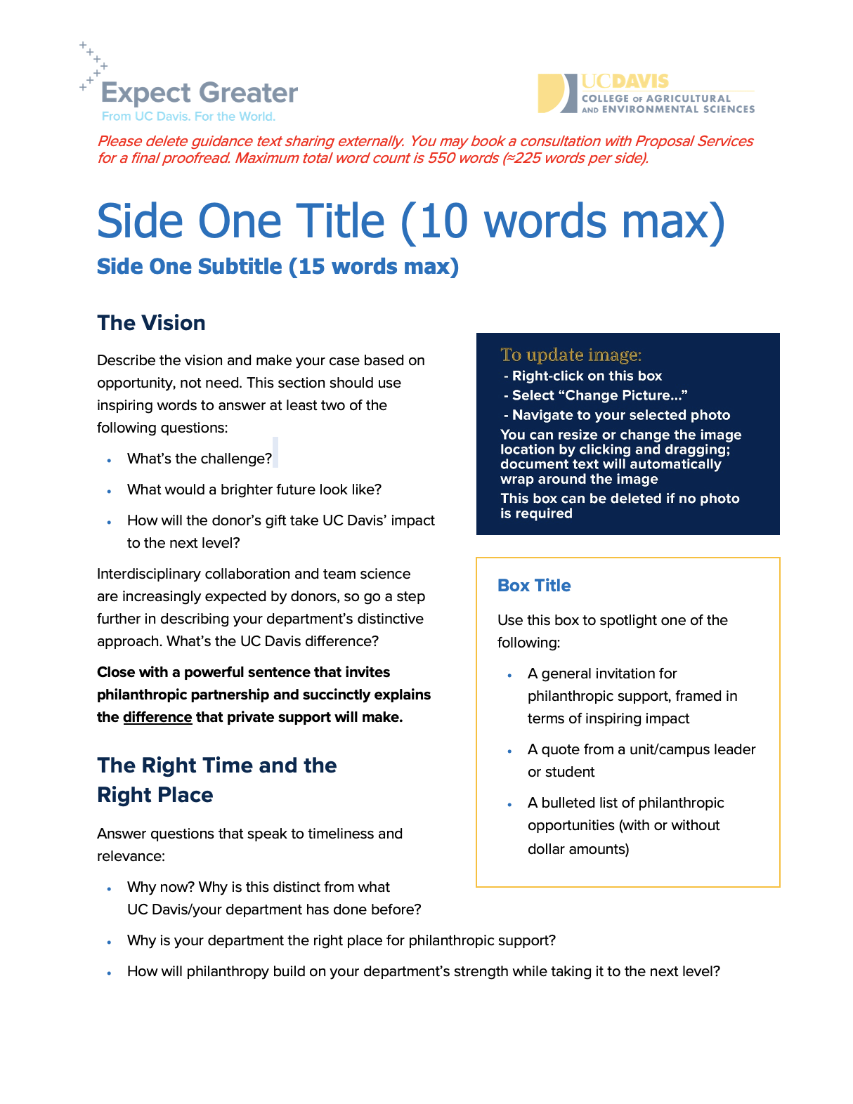 Text document with headings and bullet points about a vision and timing strategy.