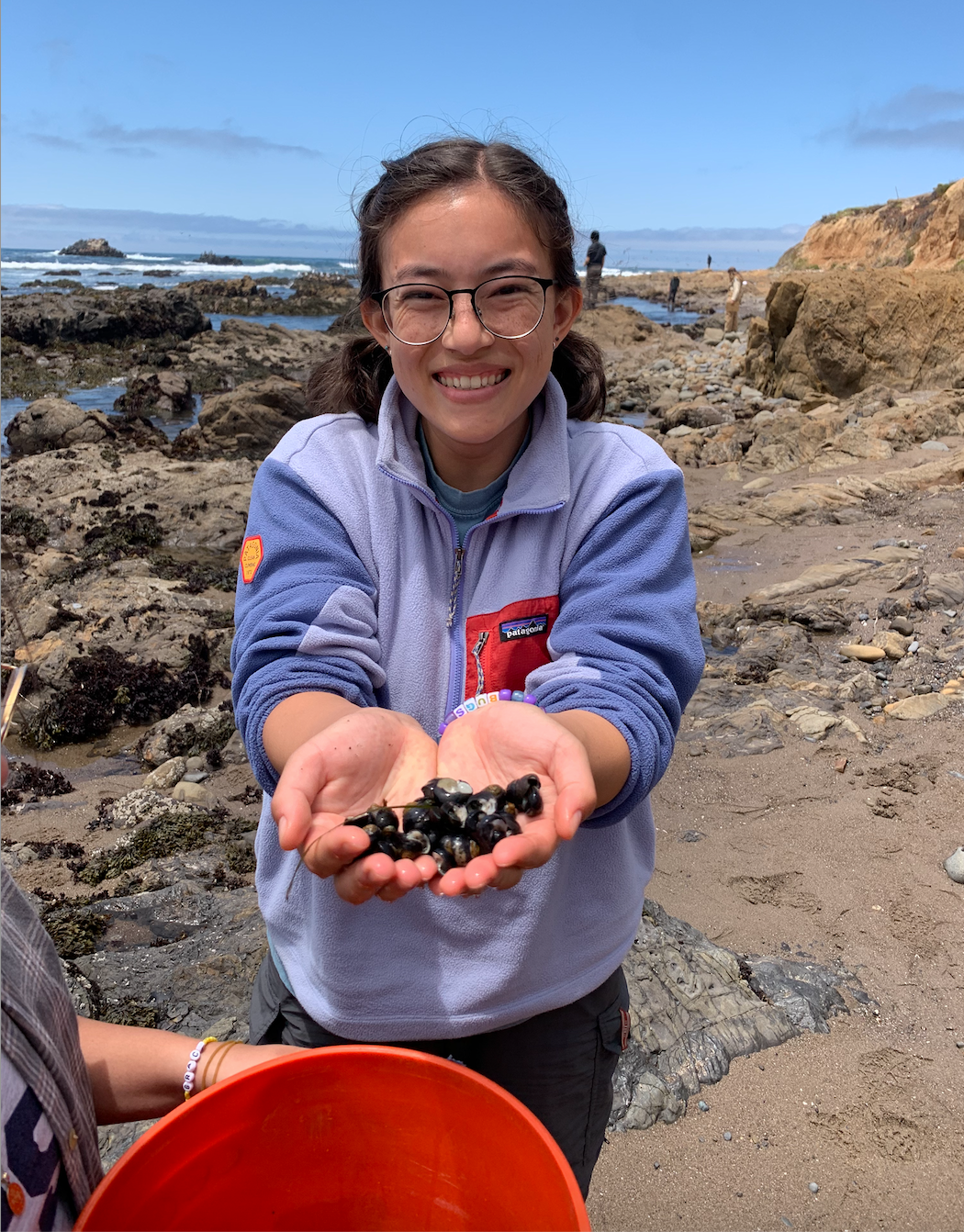 Mia Emerson holds hermit crabs in the tide pools of Kenneth S. Norris Rancho Marino Reserve (Courtesy Mia Emerson).