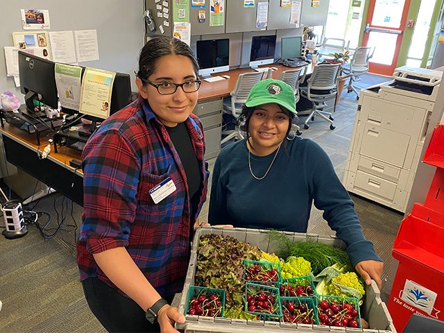 Wendy Castañeda Martinez, of Fresh Focus, and Resources Coordinator Joyce Zamorano Sanchez with cherries and vegetables at the AB540 and Undocumented Student Center, on campus. (Trina Kleist/UC Davis)
