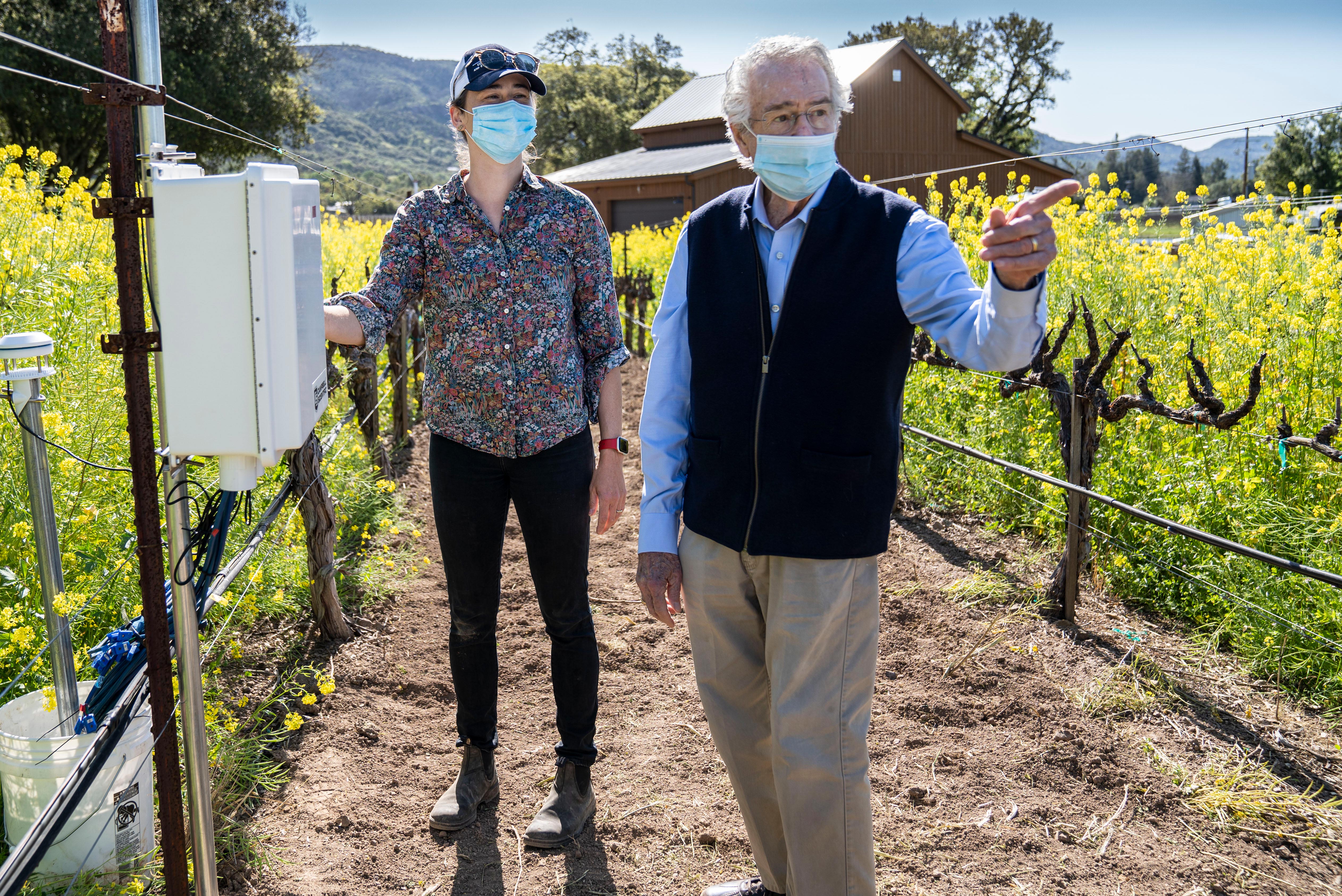 Beth Forrestel, an assistant professor in the Department of Viticulture and Enology, talks with winemaker Warren Winiarski in his vineyard.