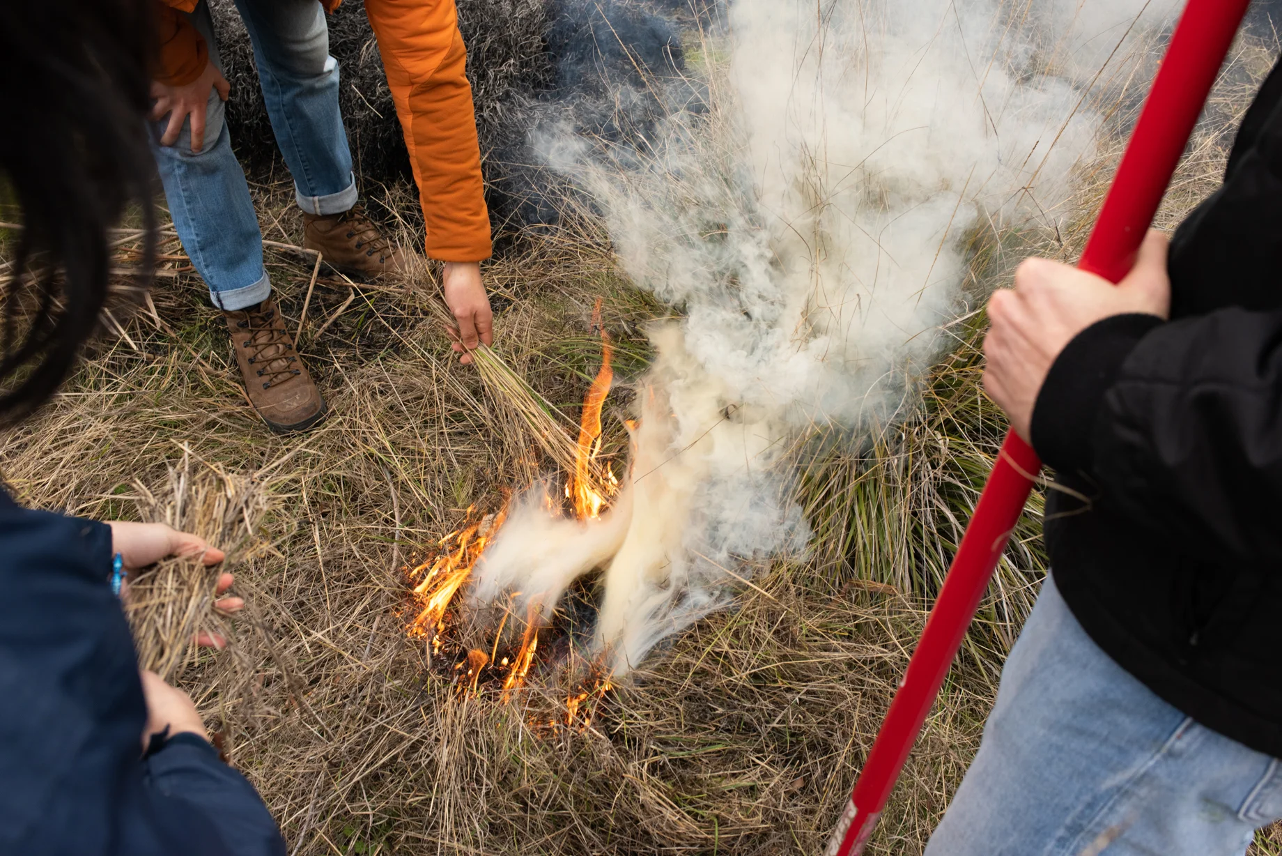 Native American fire practitioners instruct students, academics and community members in a cultural burn in Woodland, California in Feb. 2020. (Alysha Beck/UC Davis)