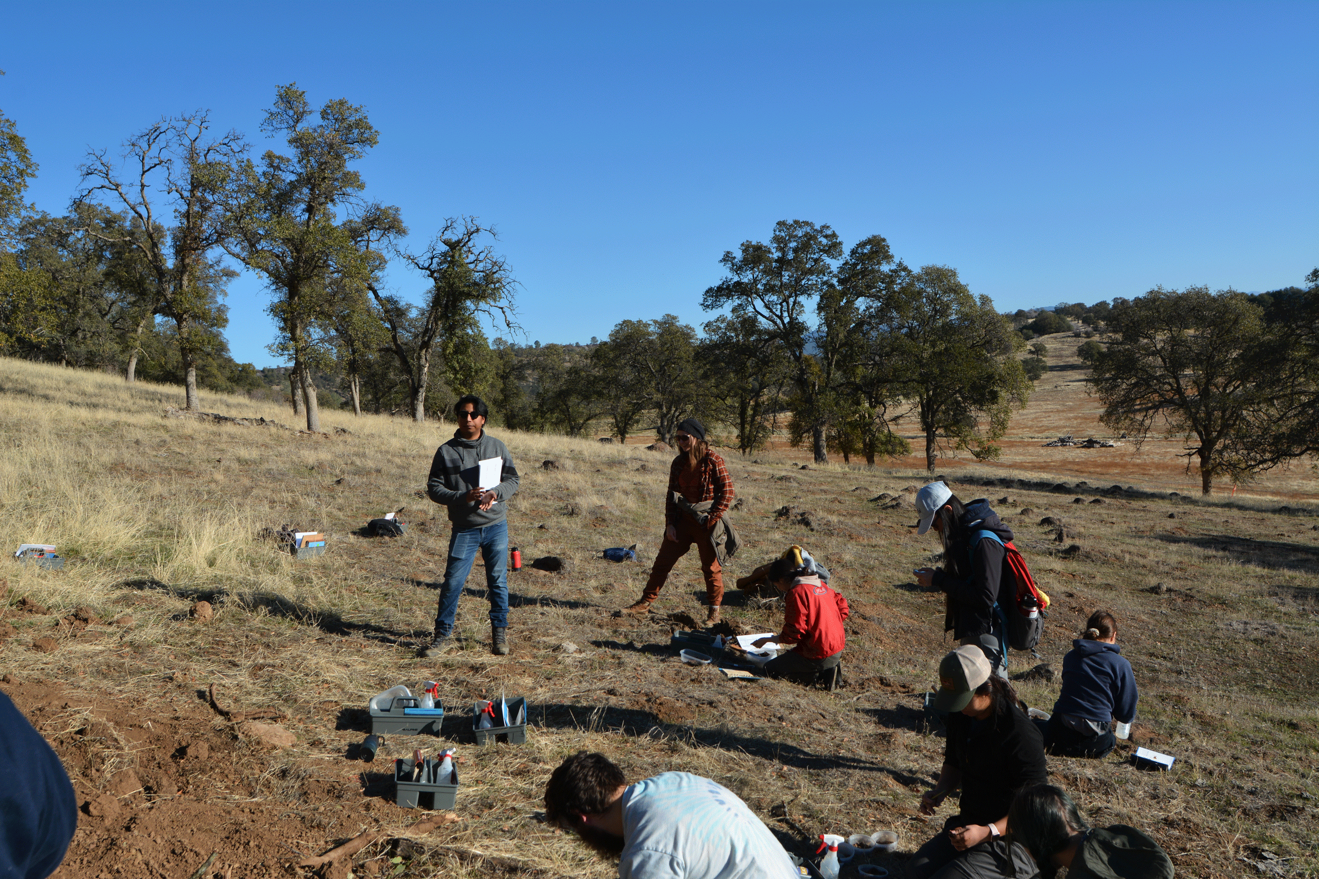 A group of people working together studying the soil.