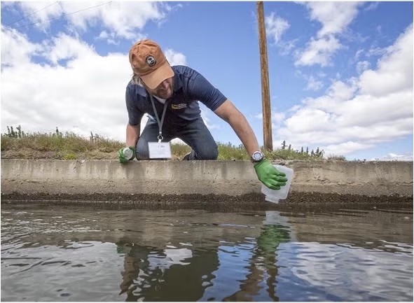 Person wearing a hat and gloves reaching into waterway to grab water sample.