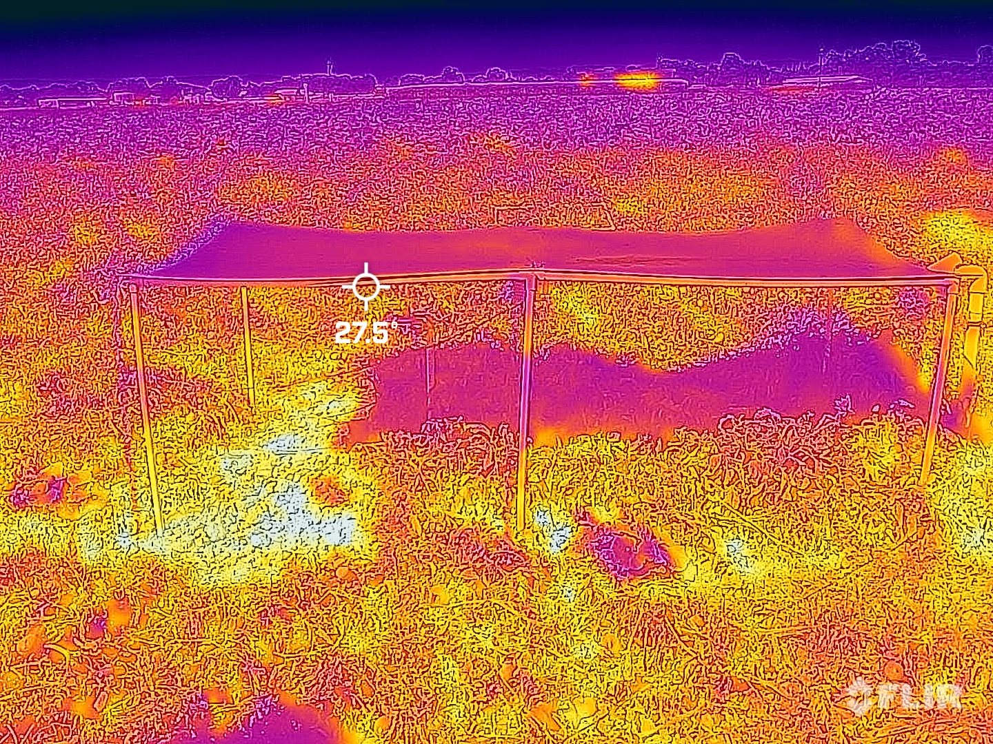 The same plants and solar panels shown with thermal imaging. The color changes illustrate the reduced temperatures in the shade of the panels. (Majdi Abou Najm/UC Davis)