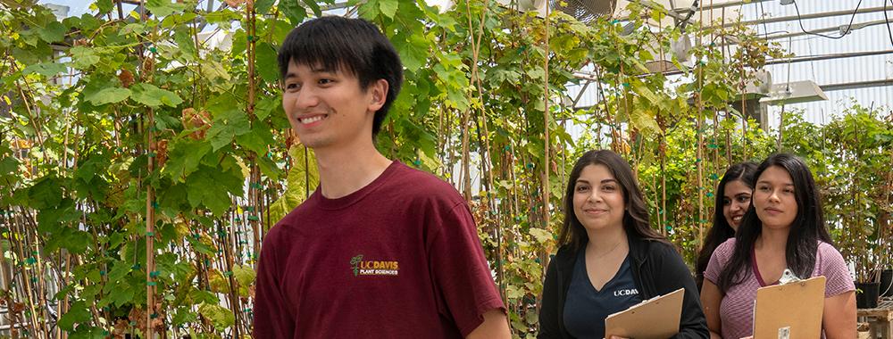 Students interning a greenhouse.