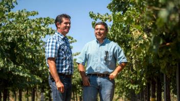 In collaboration with UC Davis Cooperative Extension viticulture specialist Kaan Kurtural (right), Miguel Guerrero (left) of The Wine Group is experimenting with a “high-wire” viticultural practice that reduces the need for manual labor.