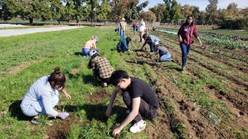 A group of 15 students volunteered at Soil Born Farms, an urban agriculture and education project in the Sacramento area. Our students planted garlic and weeded plots while learning about sustainable vegetable and fruit production.
