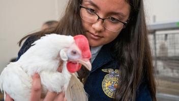 Poultry Judging
