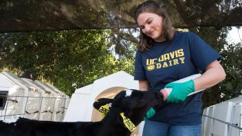 Students can live and work at several of our animal facilities on campus, including our dairy, sheep barn and more.