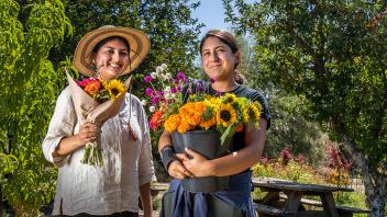Students harvest sustainably grown flowers from the UC Davis Student Farm all year long.