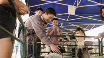 Derel Cruz (wearing grey sweatshirt), a third year Biological Sciences major pets a lamb the Petting Zoo at the Cole Facility during UC Davis Picnic Day on April 15, 2023.