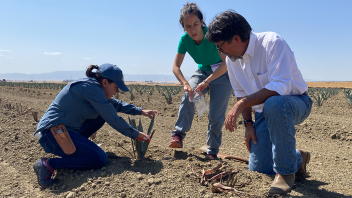 UC Davis has established the Stuart & Lisa Woolf Fund for Agave Research to focus on outreach and research into the plants and their viability as a low-water crop in the state. 