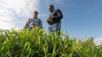 Nick Edsall with Bullseye Farms talks with professor Isaya Kisekka on the research on how cover crops promote water absorbtion and retention in agricultural fields.