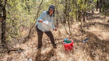 Joanne Emerson, an assistant professor in the Department of Plant Pathology, takes soil samples from the UC McLaughlin Natural Reserve in Lake County on October 29. She studies the role that soil viruses play in natural systems, as well as agricultural areas like Russell Ranch at UC Davis.
