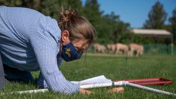 Haven Kiers, an assistant professor of Landscape Architecture measures grass that sheep graze on at the University of California, Davis, Campus Gateway.