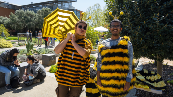 Two people dressed up in bee costumes outside the RMI during Picnic Day on April 15, 2023. 