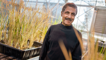 We had yet another reason to celebrate! Venkatesan Sundaresan, a professor in plant sciences and plant biology, was elected as a member of the National Academy of Sciences. His laboratory conducts research on plant reproduction as well as host-microbiome interactions in roots. 
