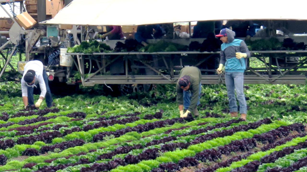 Postharvest Technology Center | College of Agricultural ...
